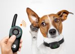 Dog Electric Collar Waterproof Dog Training Collar Rechargeable Remote Dog Bark Control Collar Anti Bark Pet Trainer Shock Vibra - Image 3
