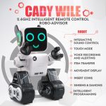 Intelligent remote control robot - Image 3