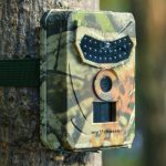Forestry security camera - Image 3