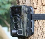 Wild hunting camera - Image 3